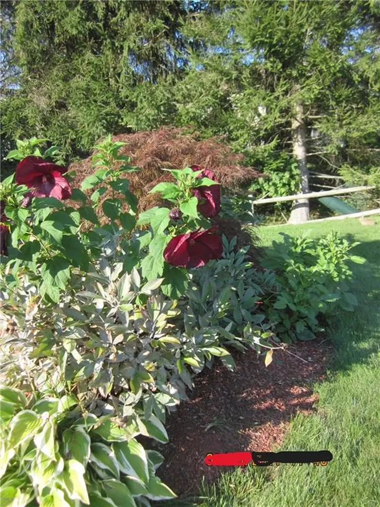 31 Chestnut Street Cumberland RI 02864
