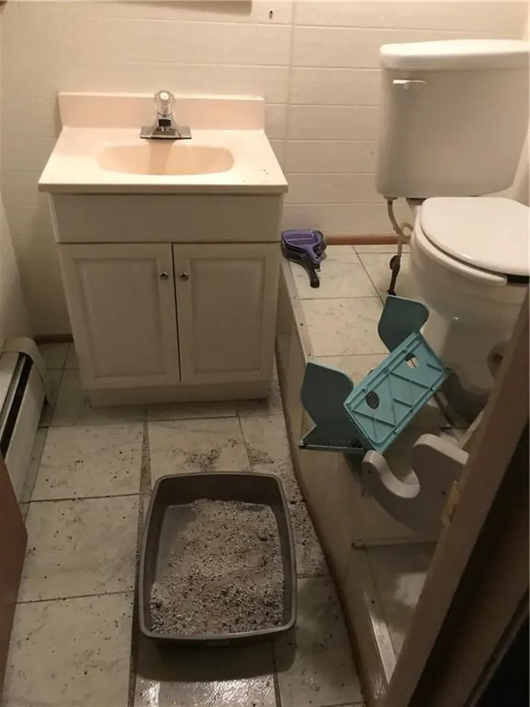 139 Babcock Street Providence RI 02905