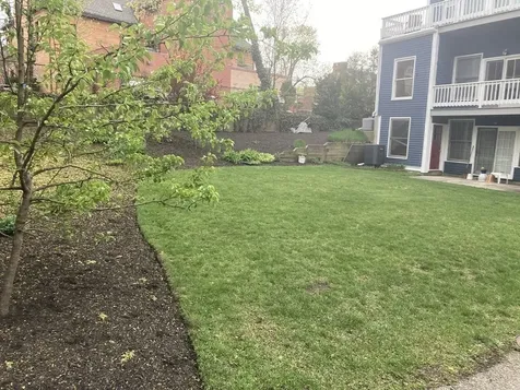 110 Maple Place Dedham MA 02026