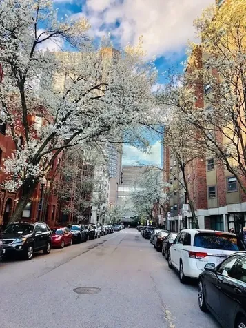 40 Saint Botolph Street Boston MA 02116