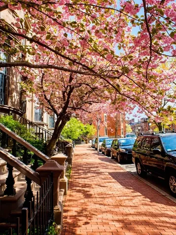 538 Massachusetts Avenue Boston MA 02118