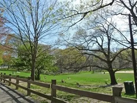 1731 Beacon Brookline MA 02445