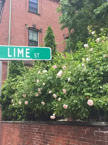 20 Lime Boston MA 02108
