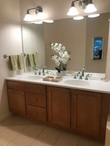 107 Clocktower Drive Waltham MA 02452