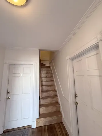 8 White Avenue Brookline MA 02467