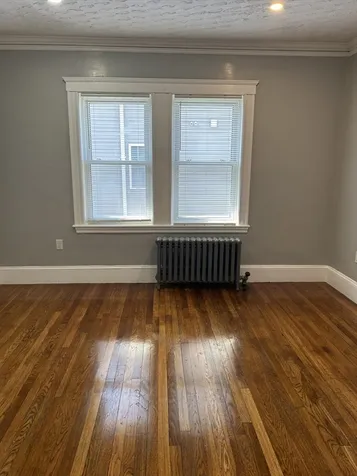 129 Stanwood Street Boston MA 02121