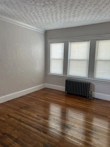 129 Stanwood Street Boston MA 02121