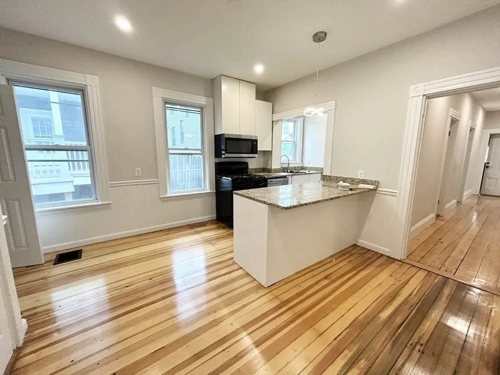 Boston MA, 12 Buttonwood, Unit 1