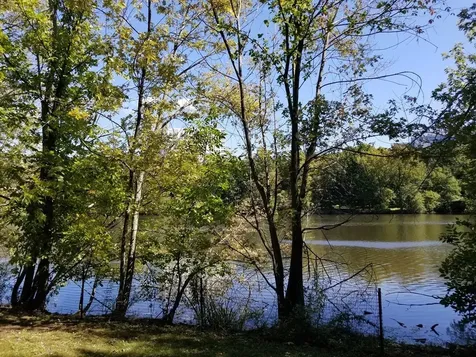 33 Pond Avenue Brookline MA 02445