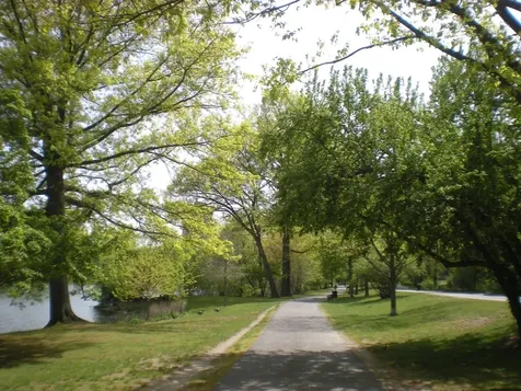 33 Pond Avenue Brookline MA 02445