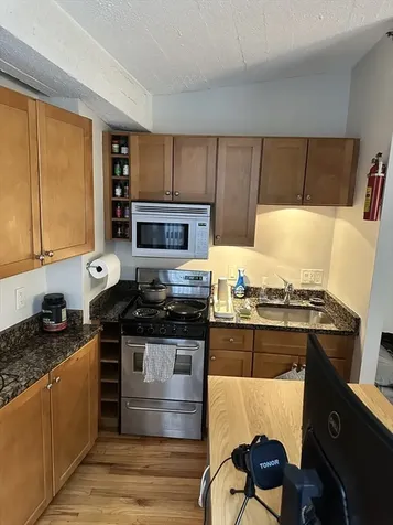 12 Stoneholm Street Boston MA 02155