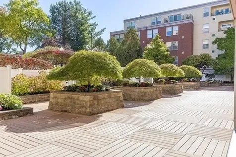 20 Webster Street Brookline MA 02446