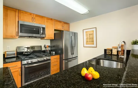 53 Thornton Road Brookline MA 02467