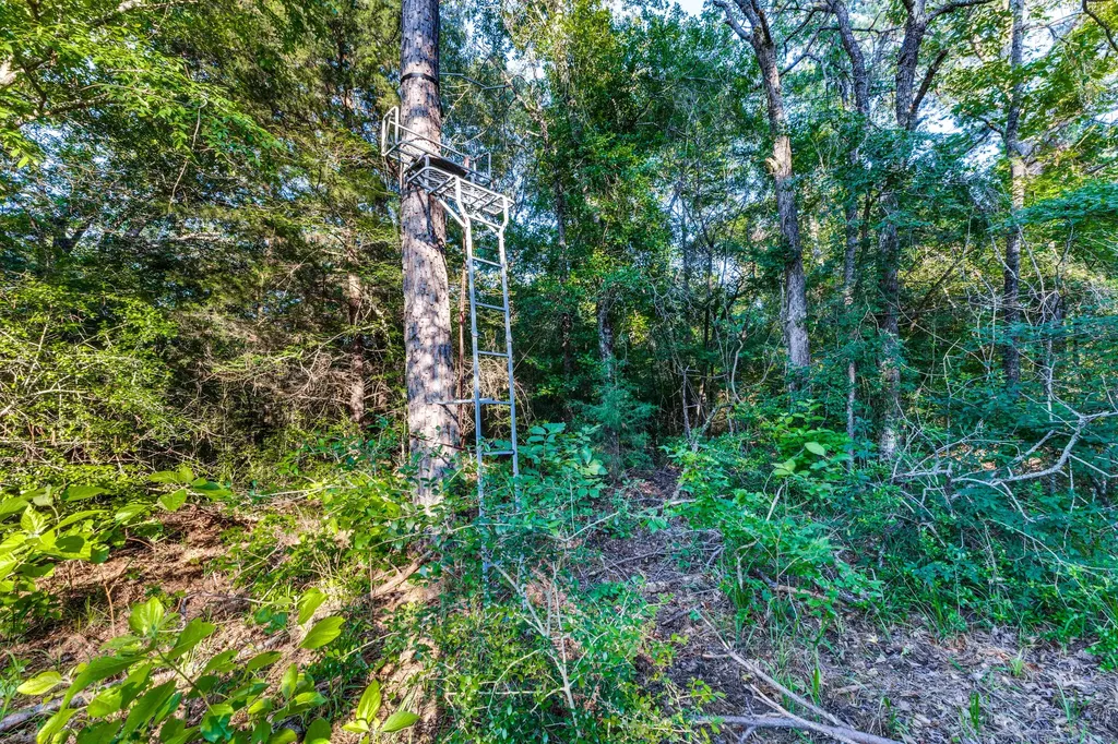 0 Fm 2330/0 Cr 2405 - 246.78 Ac Montalba TX 75853