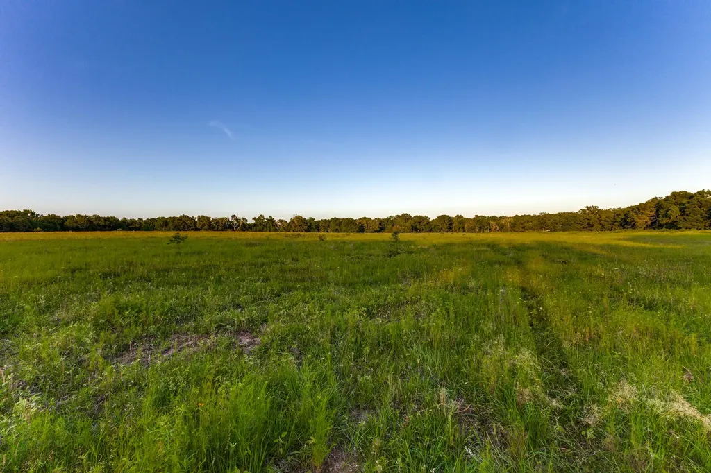 0 Fm 2330/0 Cr 2405 - 246.78 Ac Montalba TX 75853