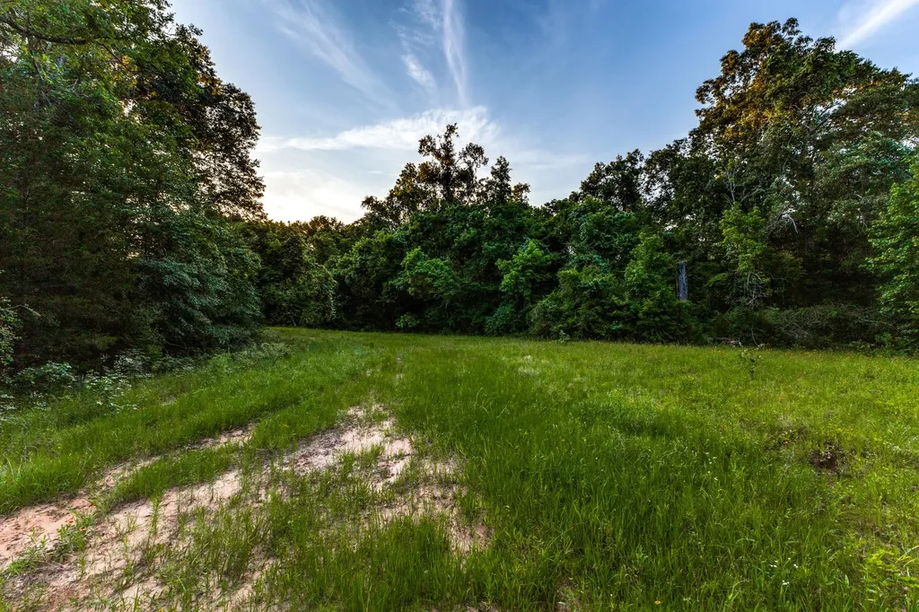 0 Fm 2330/0 Cr 2405 - 246.78 Ac Montalba TX 75853