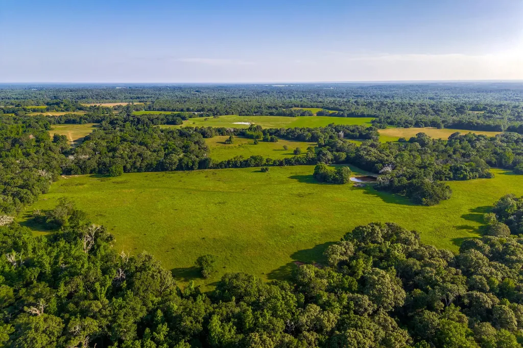 0 Fm 2330/0 Cr 2405 - 246.78 Ac Montalba TX 75853