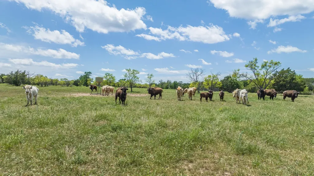 3304 Colorado River Ranch - 3304 +/- Acres Lometa TX 76853