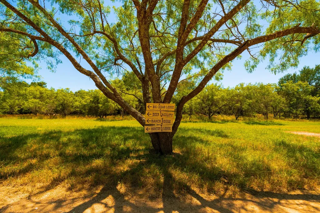 3304 Colorado River Ranch - 3304 +/- Acres Lometa TX 76853