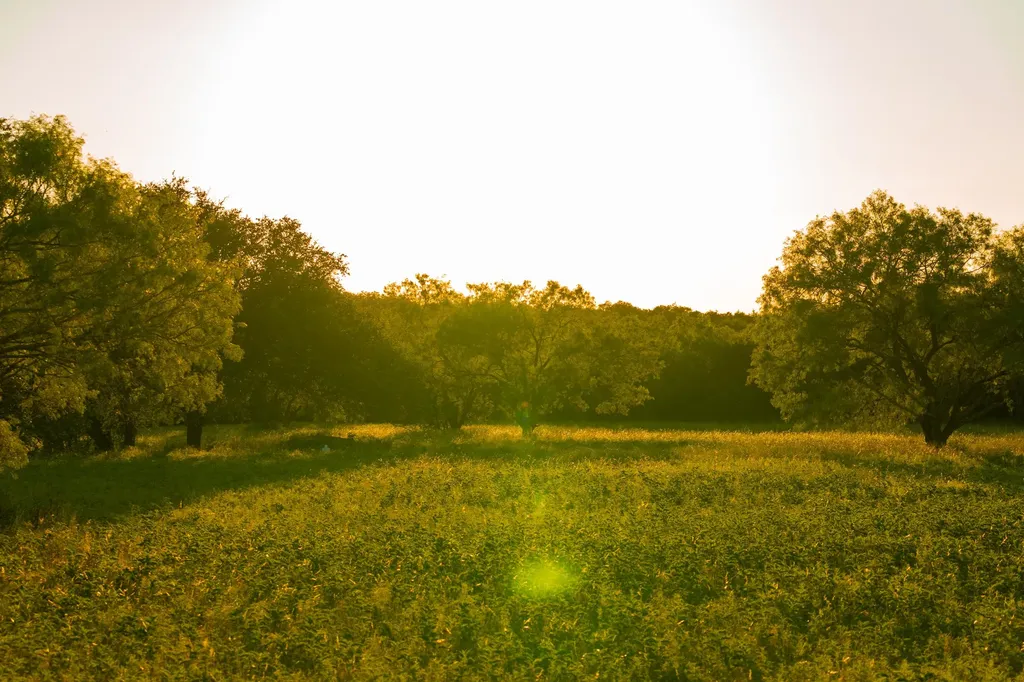 3304 Colorado River Ranch - 3304 +/- Acres Lometa TX 76853