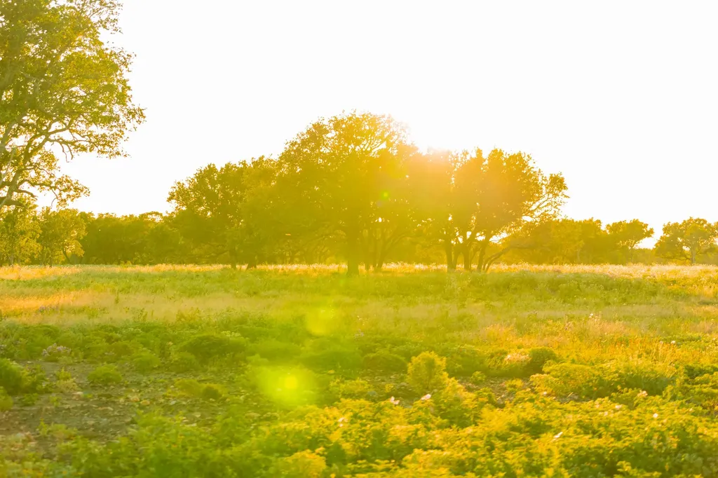 3304 Colorado River Ranch - 3304 +/- Acres Lometa TX 76853