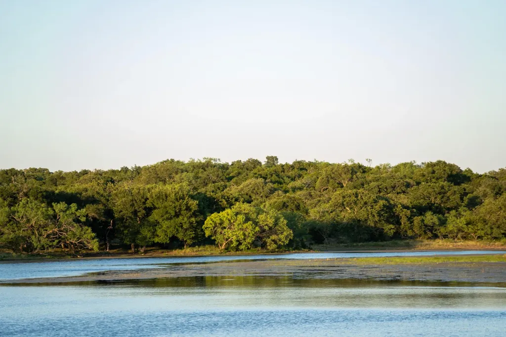 3304 Colorado River Ranch - 3304 +/- Acres Lometa TX 76853