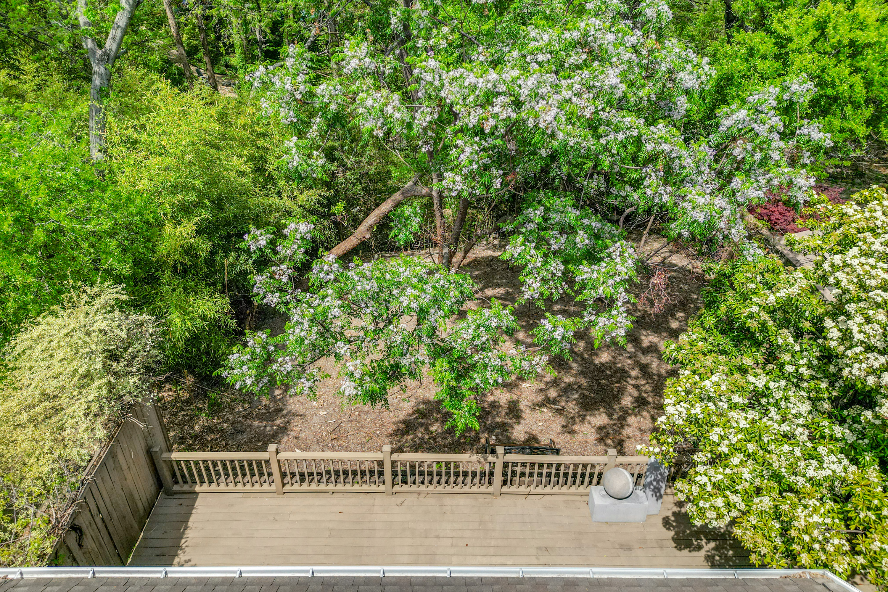 6205 Twin Oaks Circle Dallas TX 75240