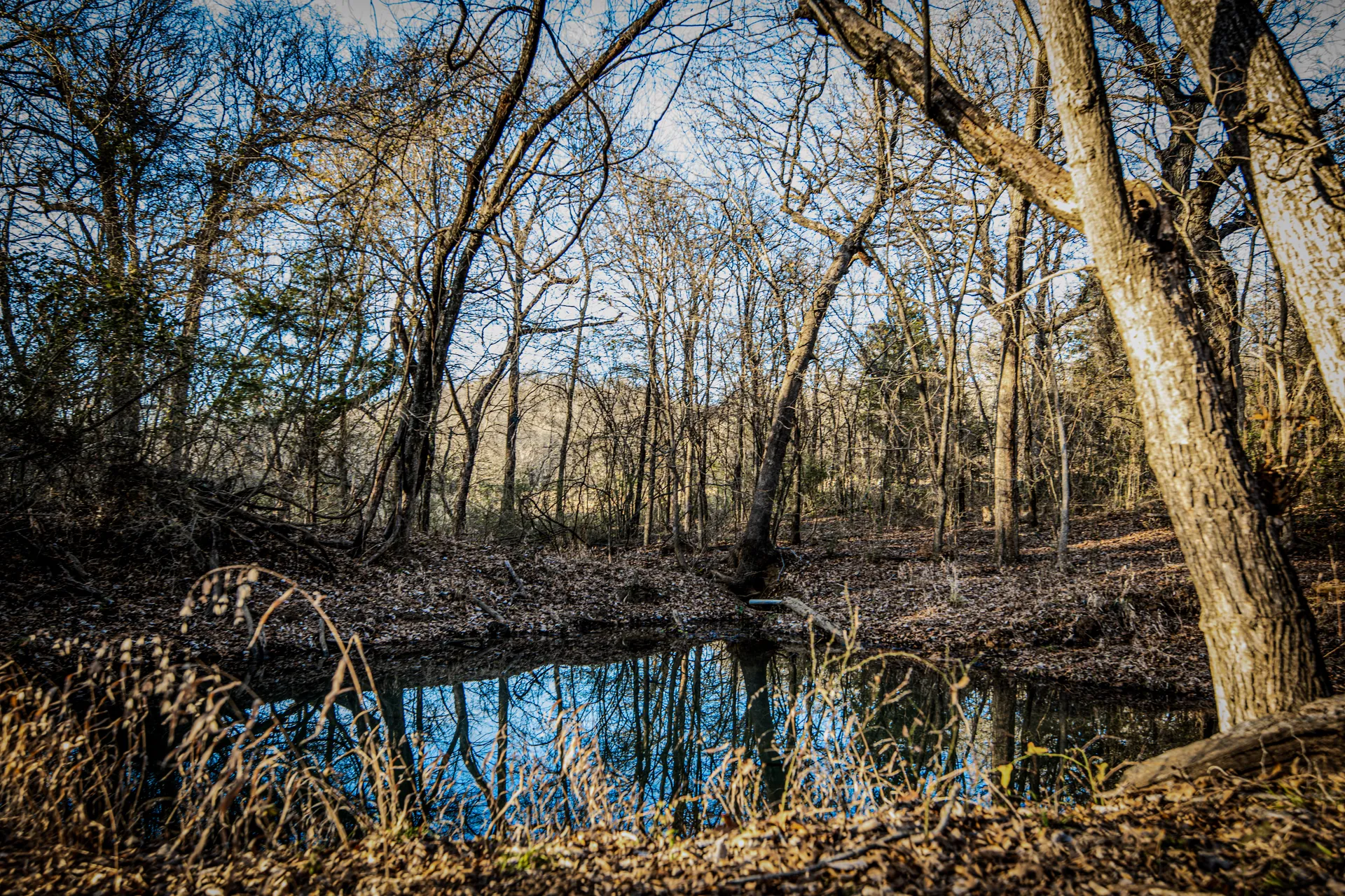 Aubrey TX, 3801 Dugas Road