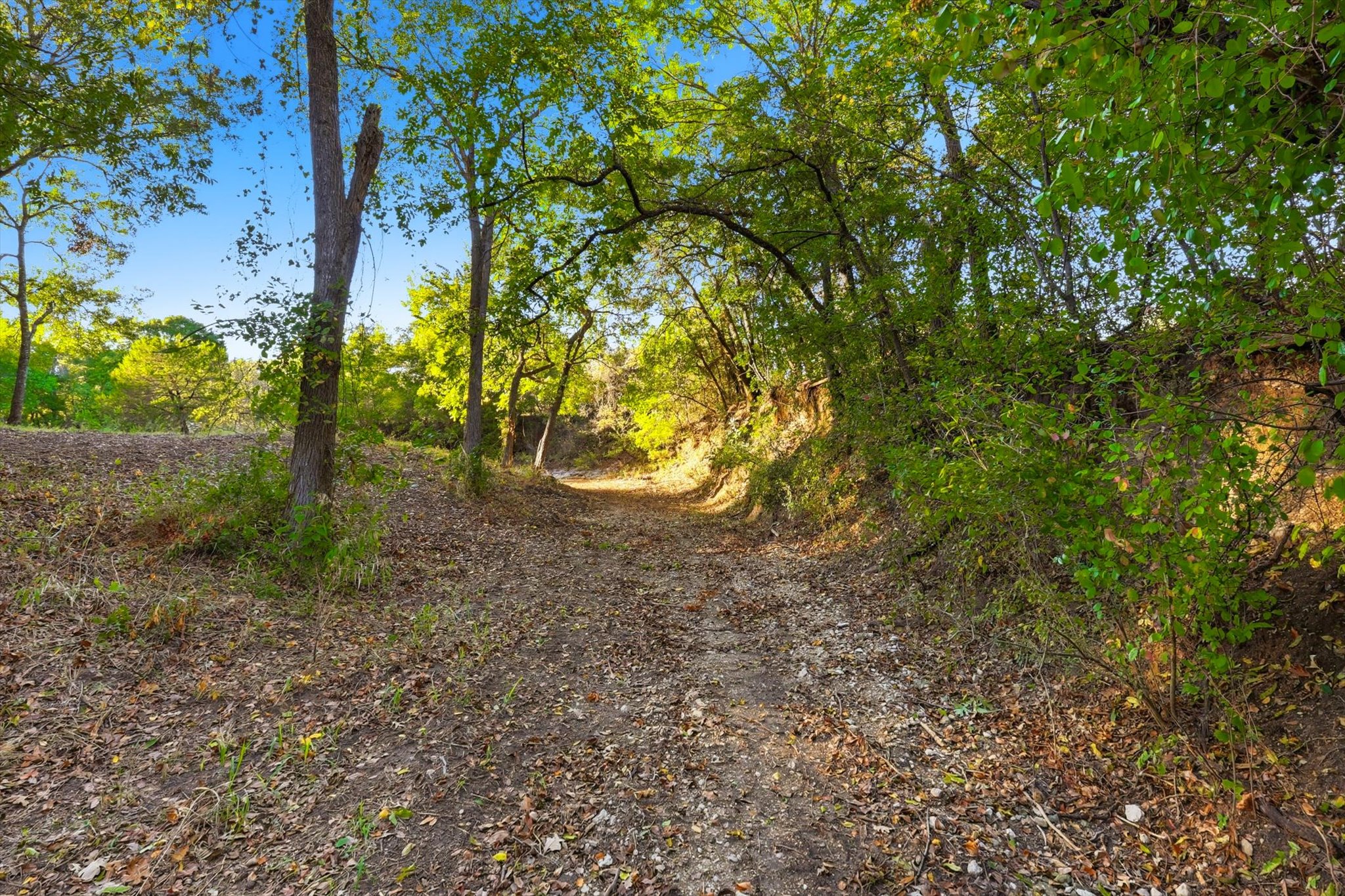 2401 Bear Creek Road Aledo TX 76008