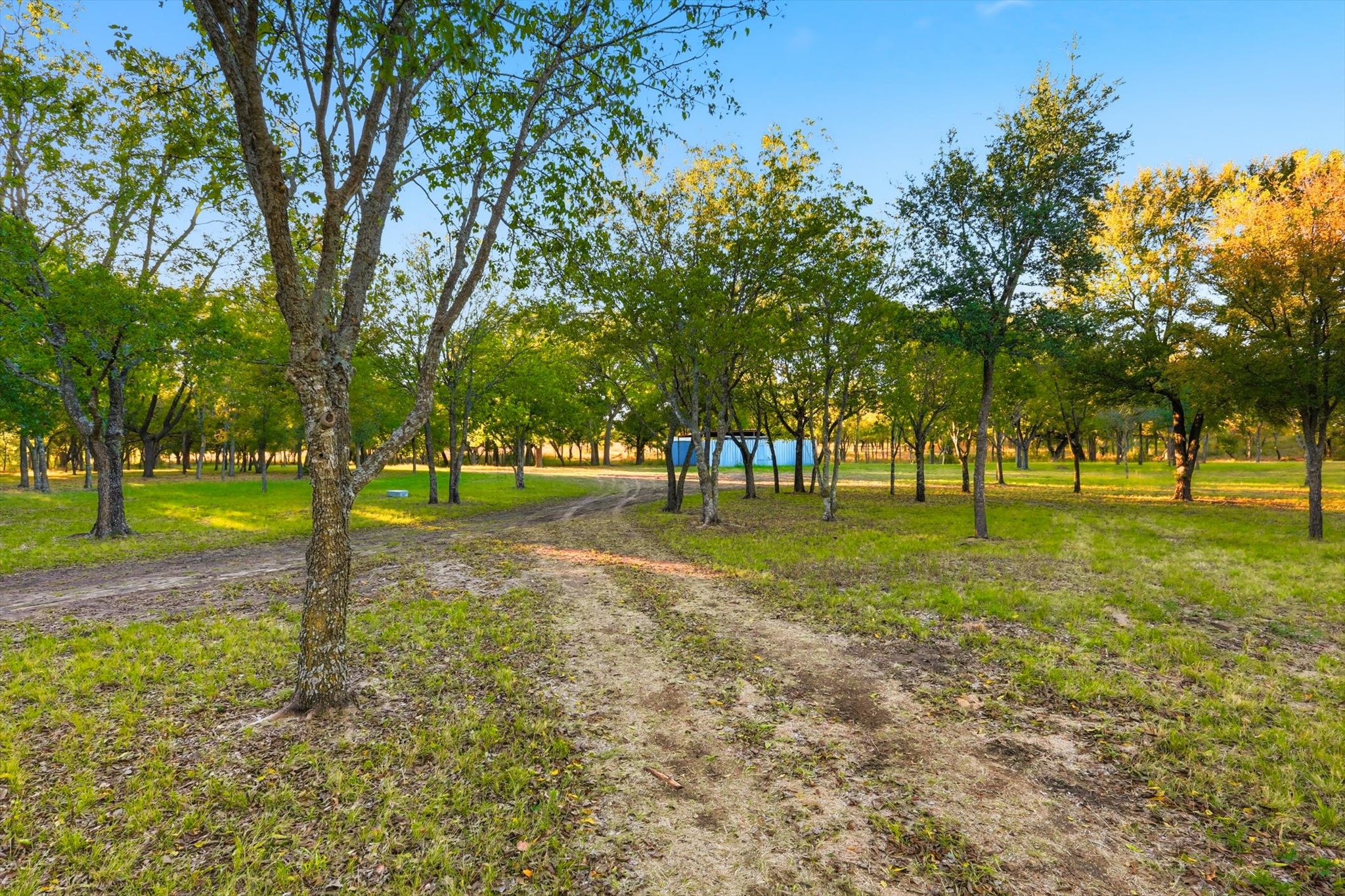 2401 Bear Creek Road Aledo TX 76008