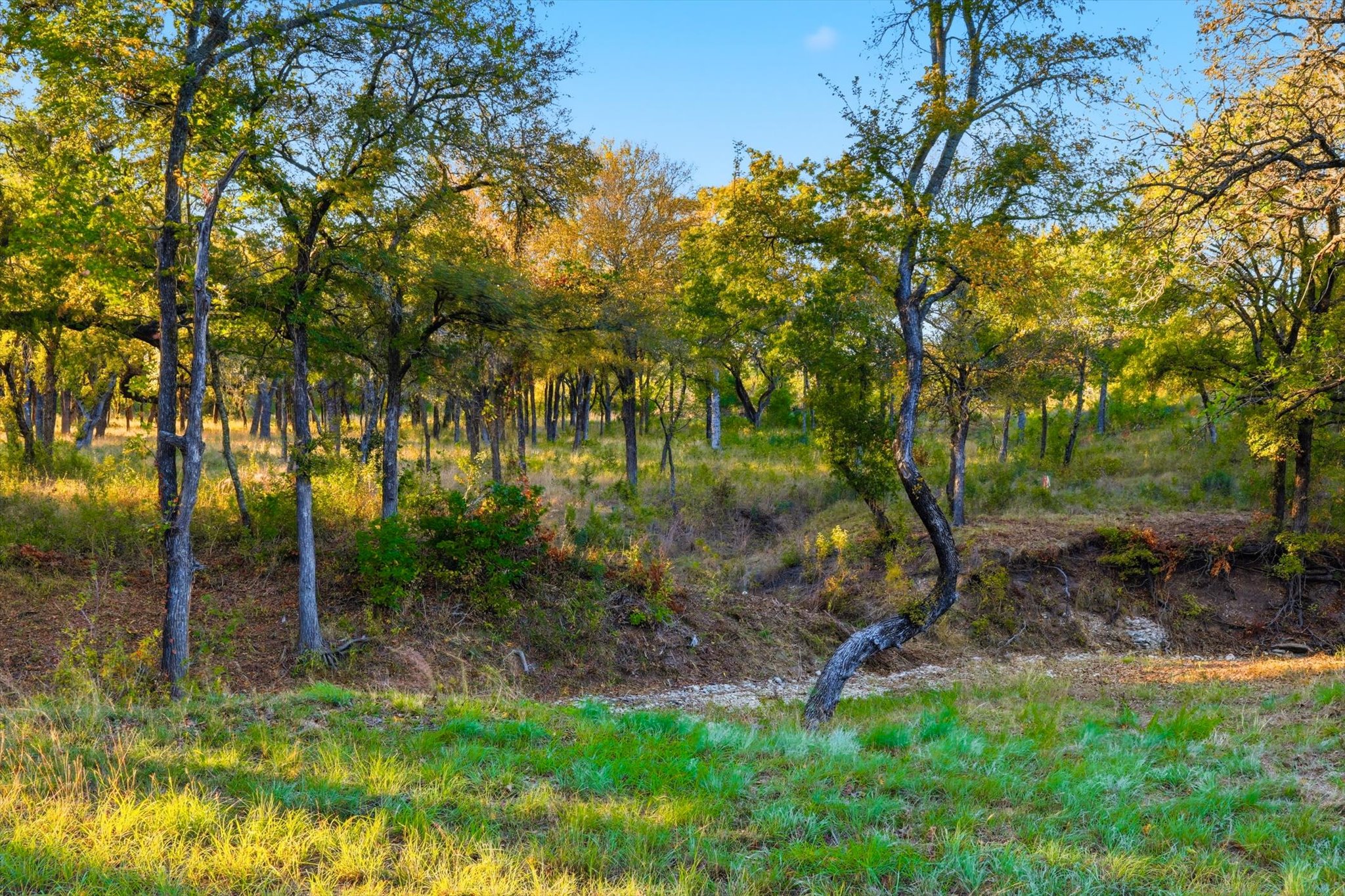 2401 Bear Creek Road Aledo TX 76008