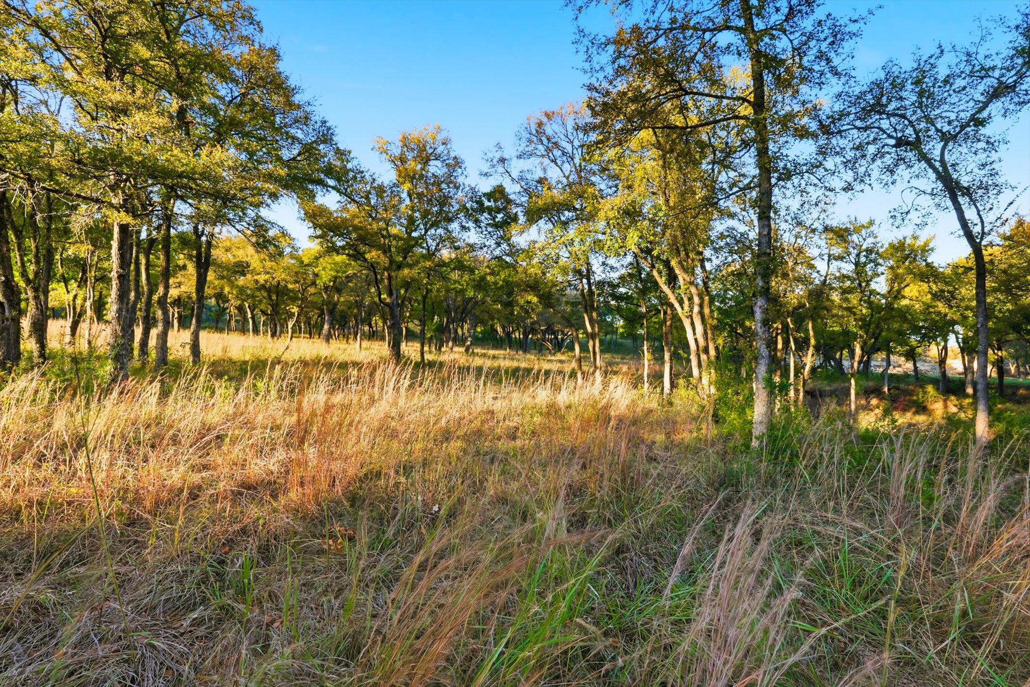 2401 Bear Creek Road Aledo TX 76008