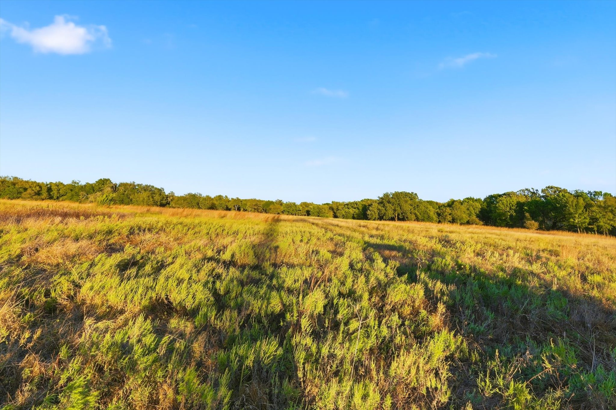 2401 Bear Creek Road Aledo TX 76008