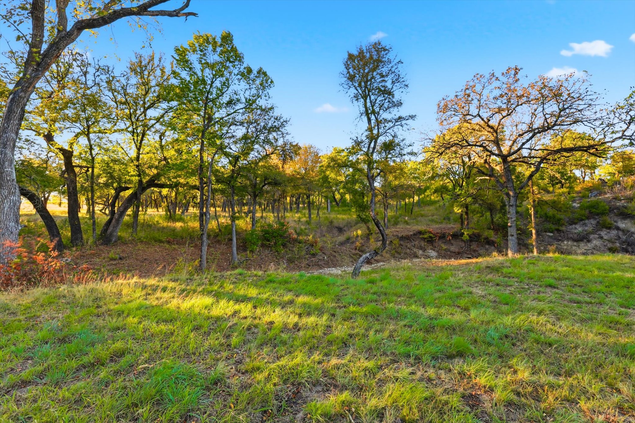 2401 Bear Creek Road Aledo TX 76008