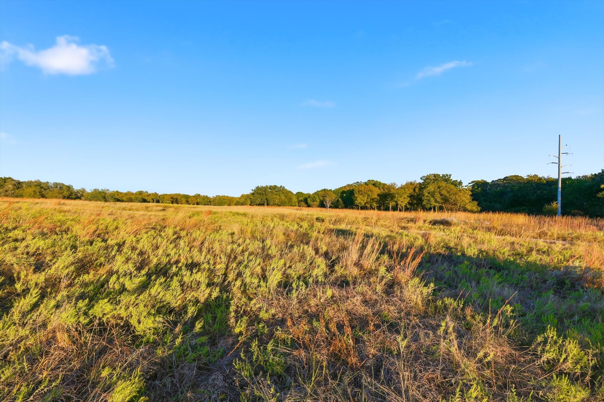 2401 Bear Creek Road Aledo TX 76008