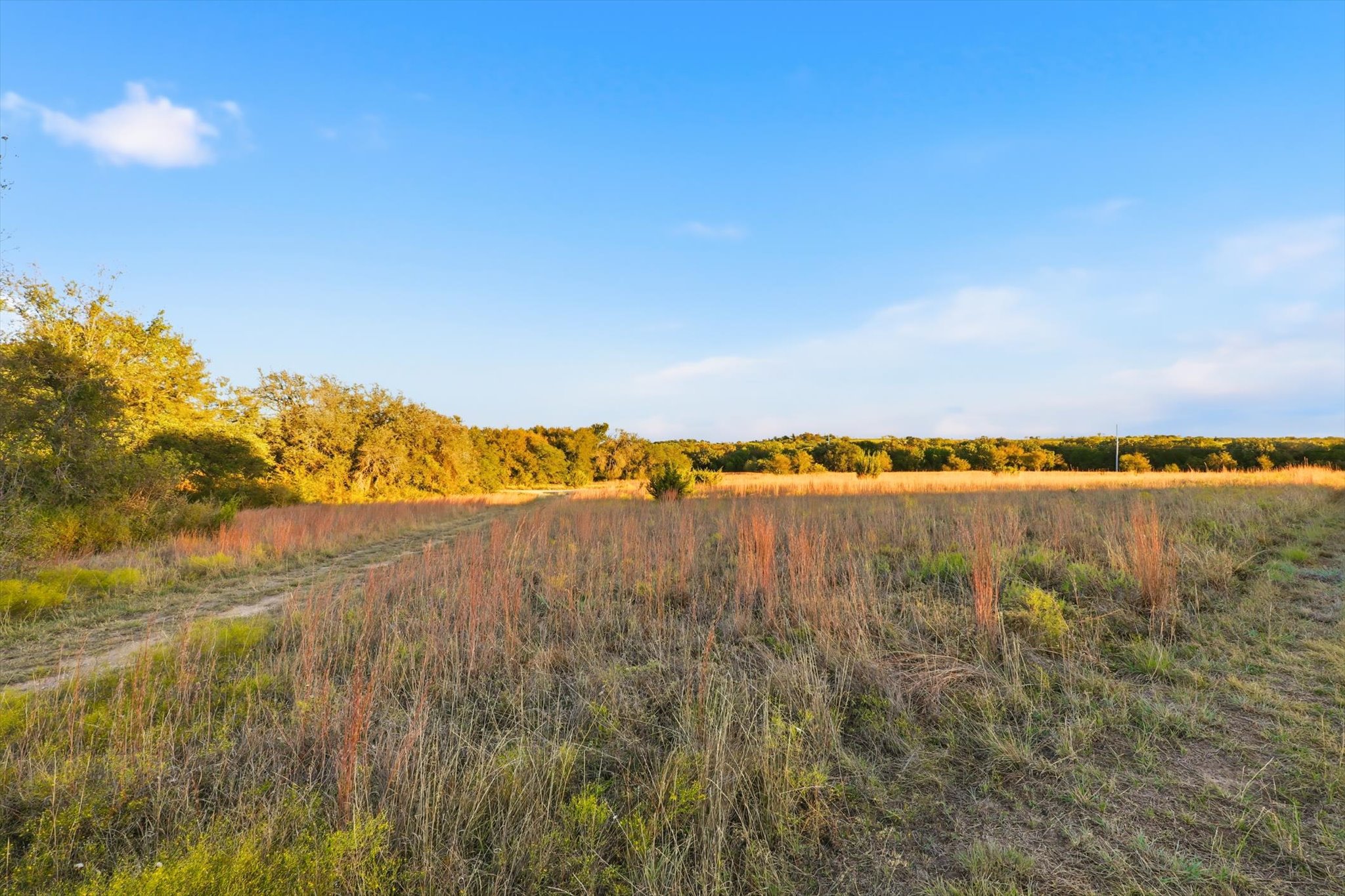 2401 Bear Creek Road Aledo TX 76008