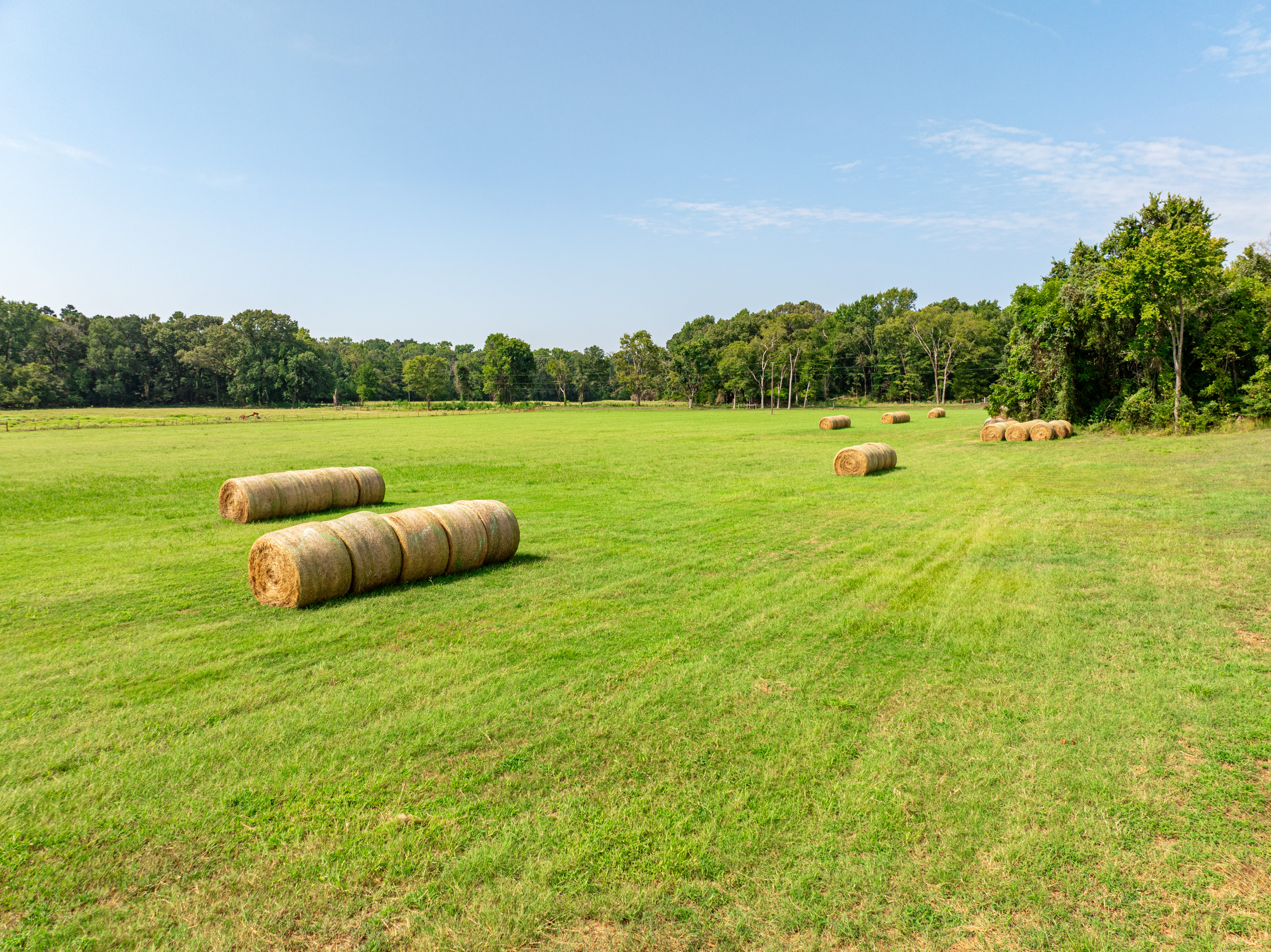 1323 An County Road 153 Palestine TX 75801