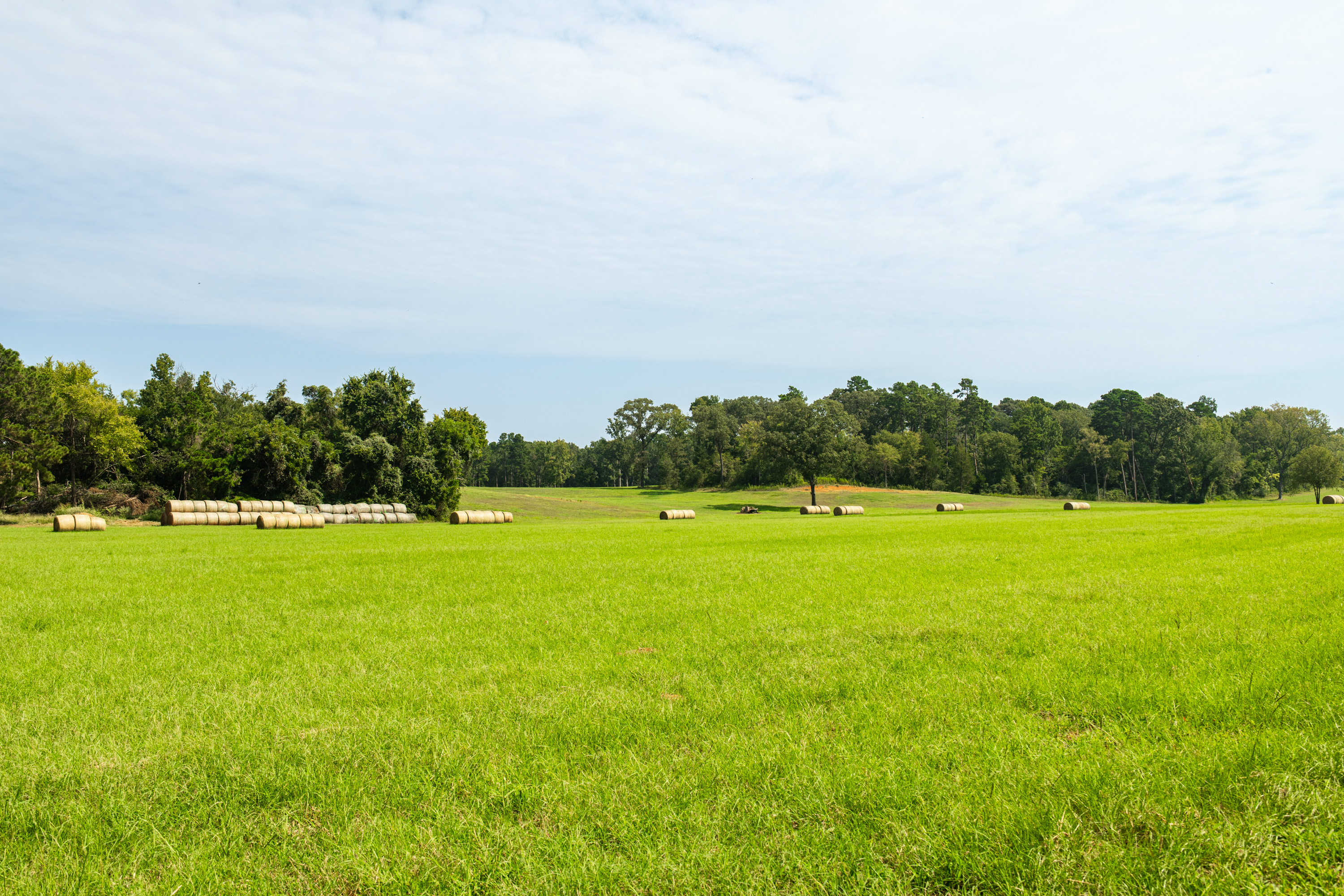 1323 An County Road 153 Palestine TX 75801