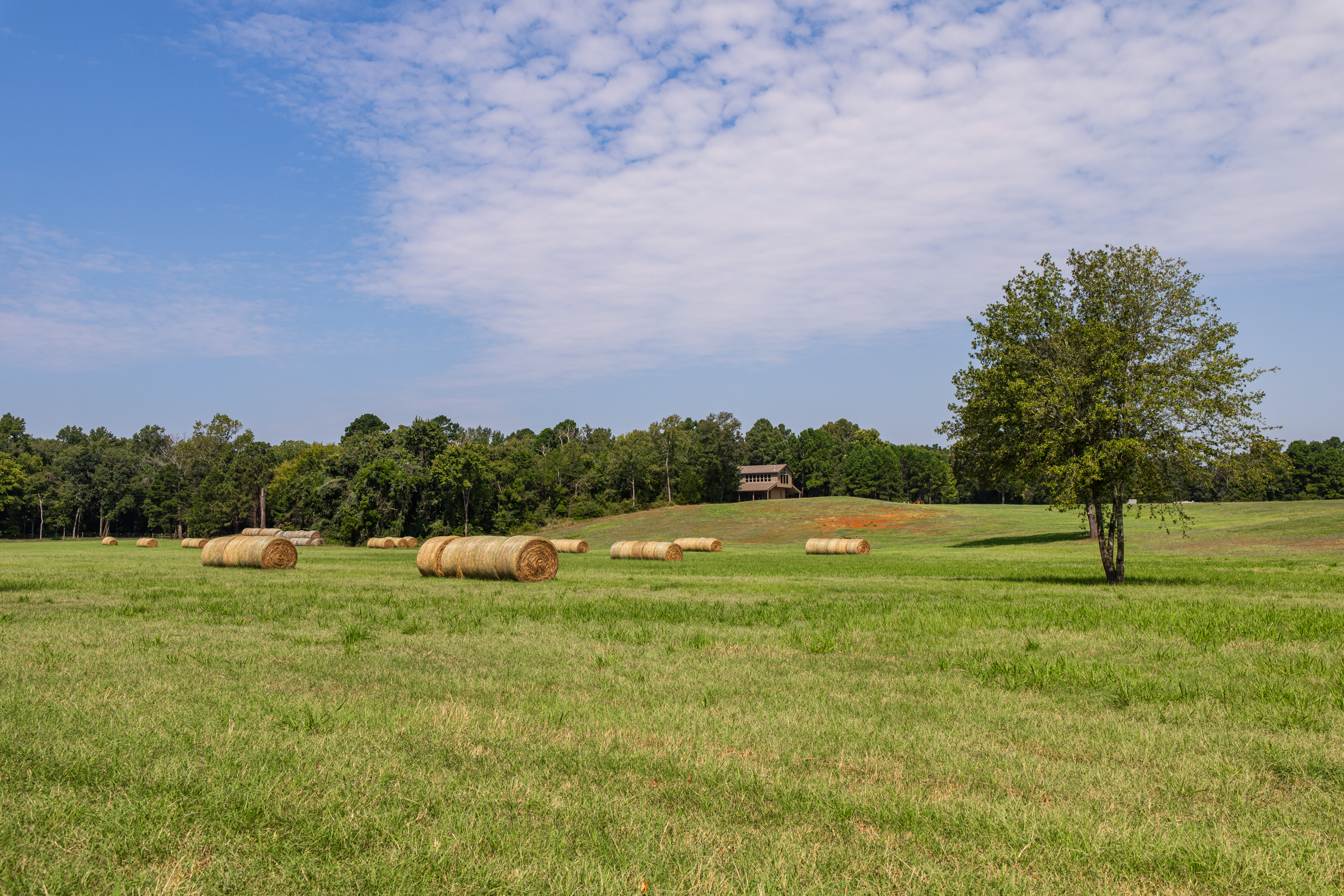 1323 An County Road 153 Palestine TX 75801