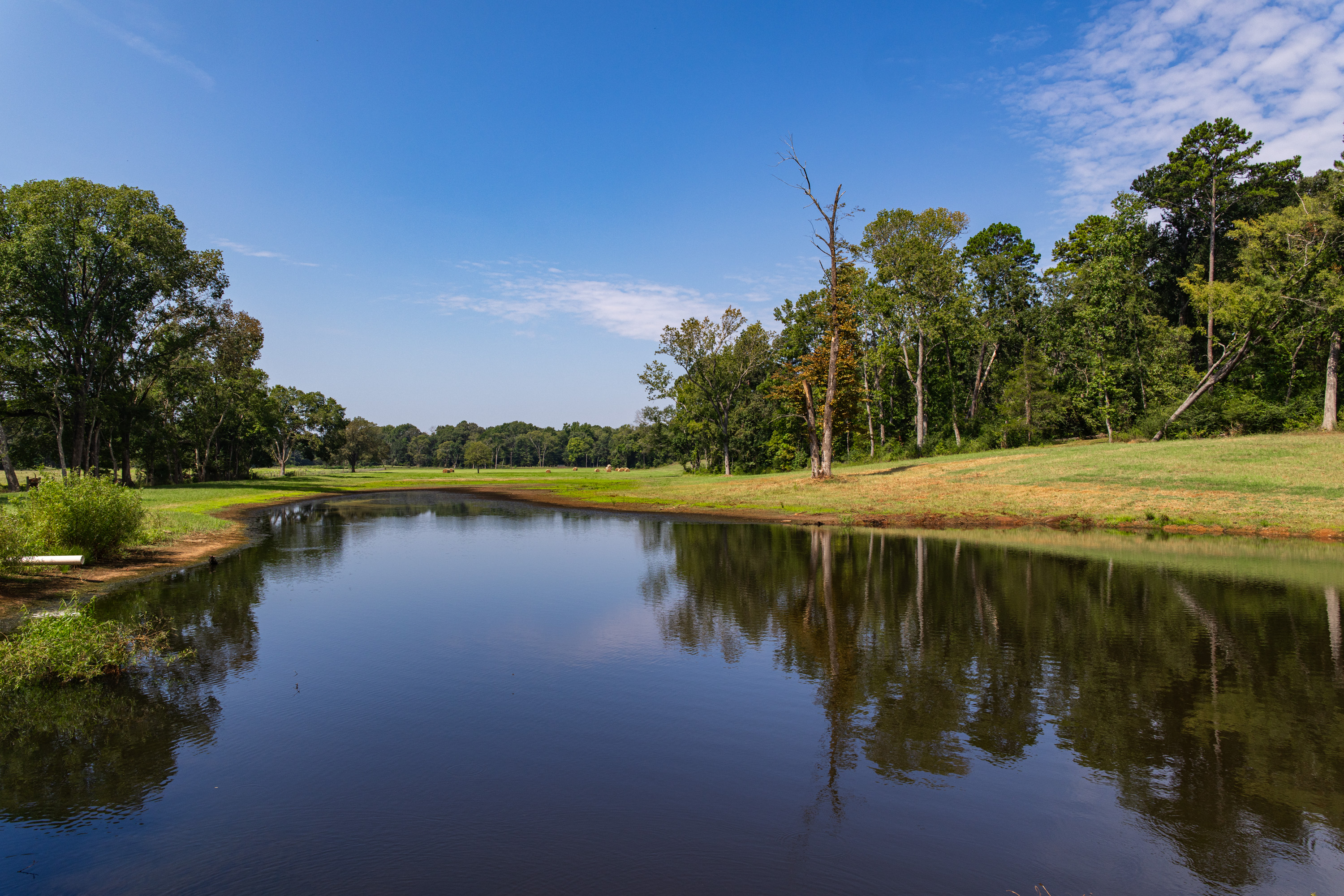 1323 An County Road 153 Palestine TX 75801