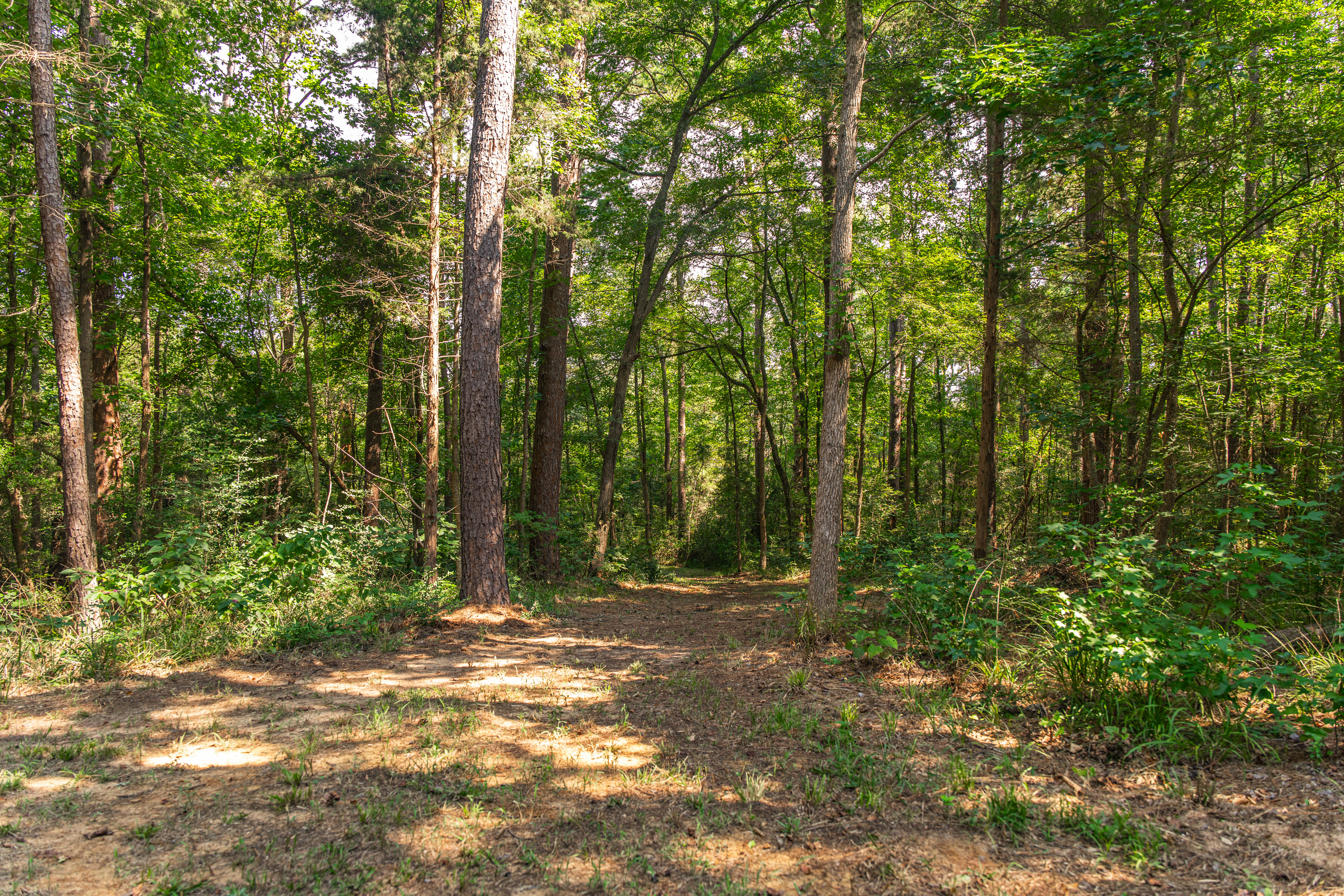 1323 An County Road 153 Palestine TX 75801