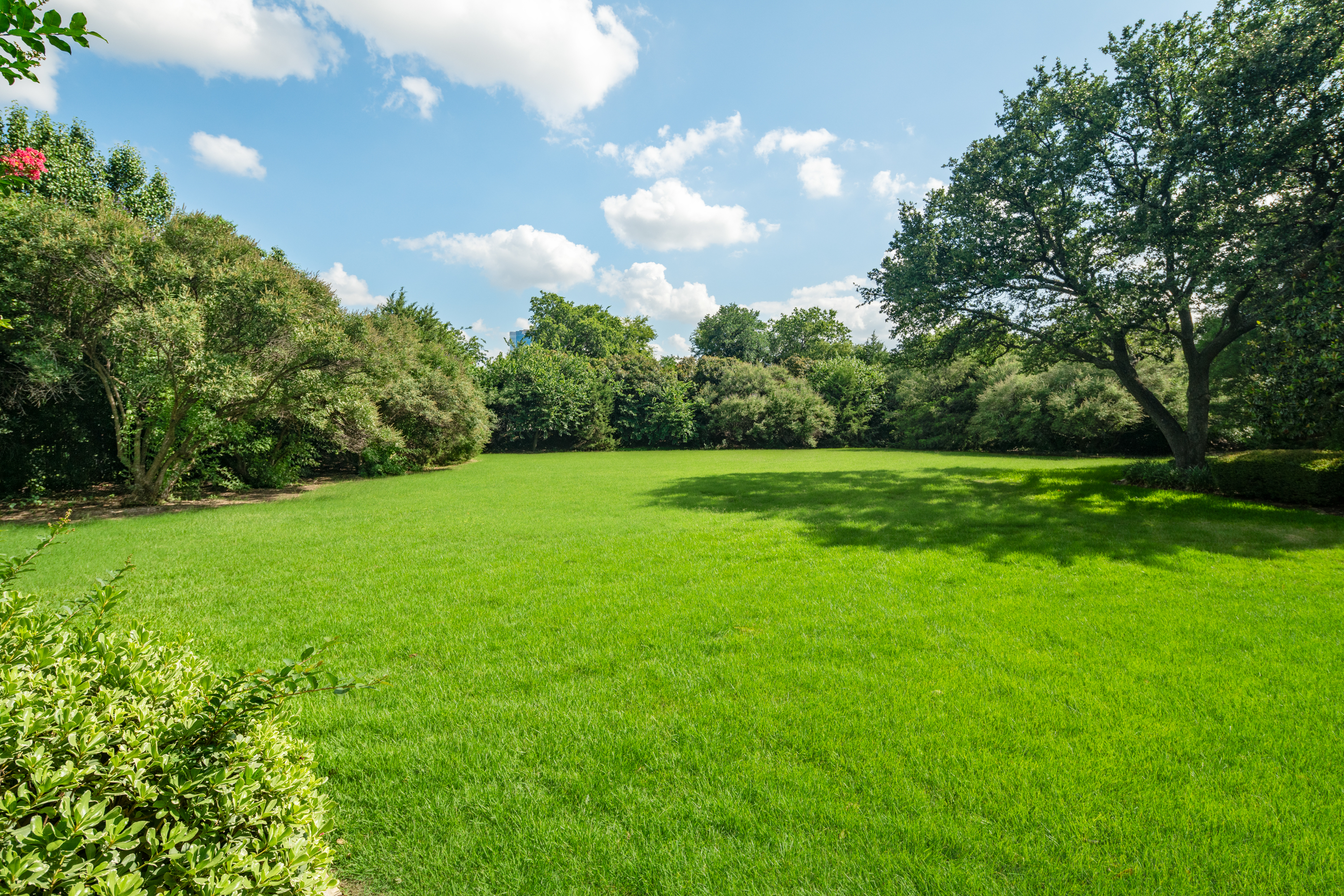 2025 Creekridge Drive Frisco TX 75034