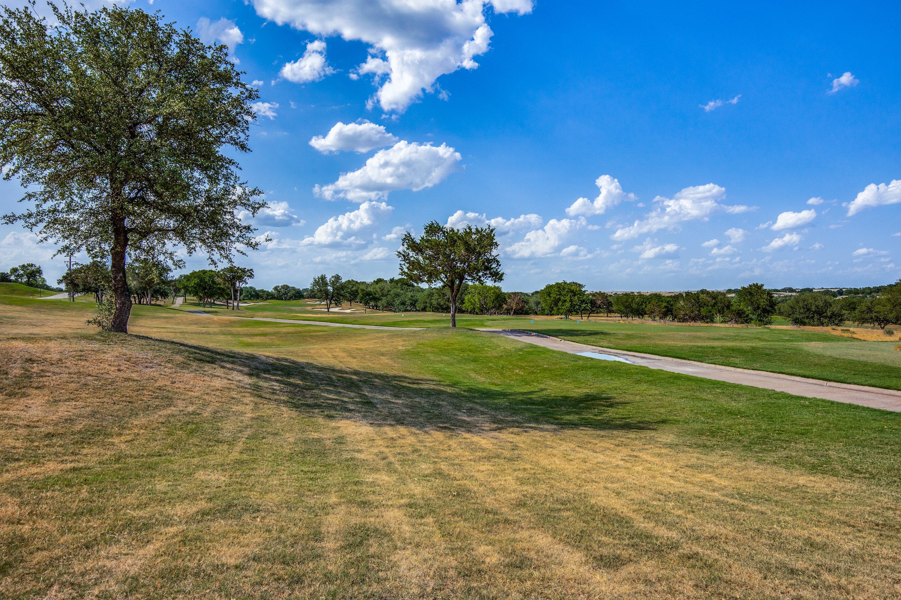 7105 Gleneagles Drive Cleburne TX 76033