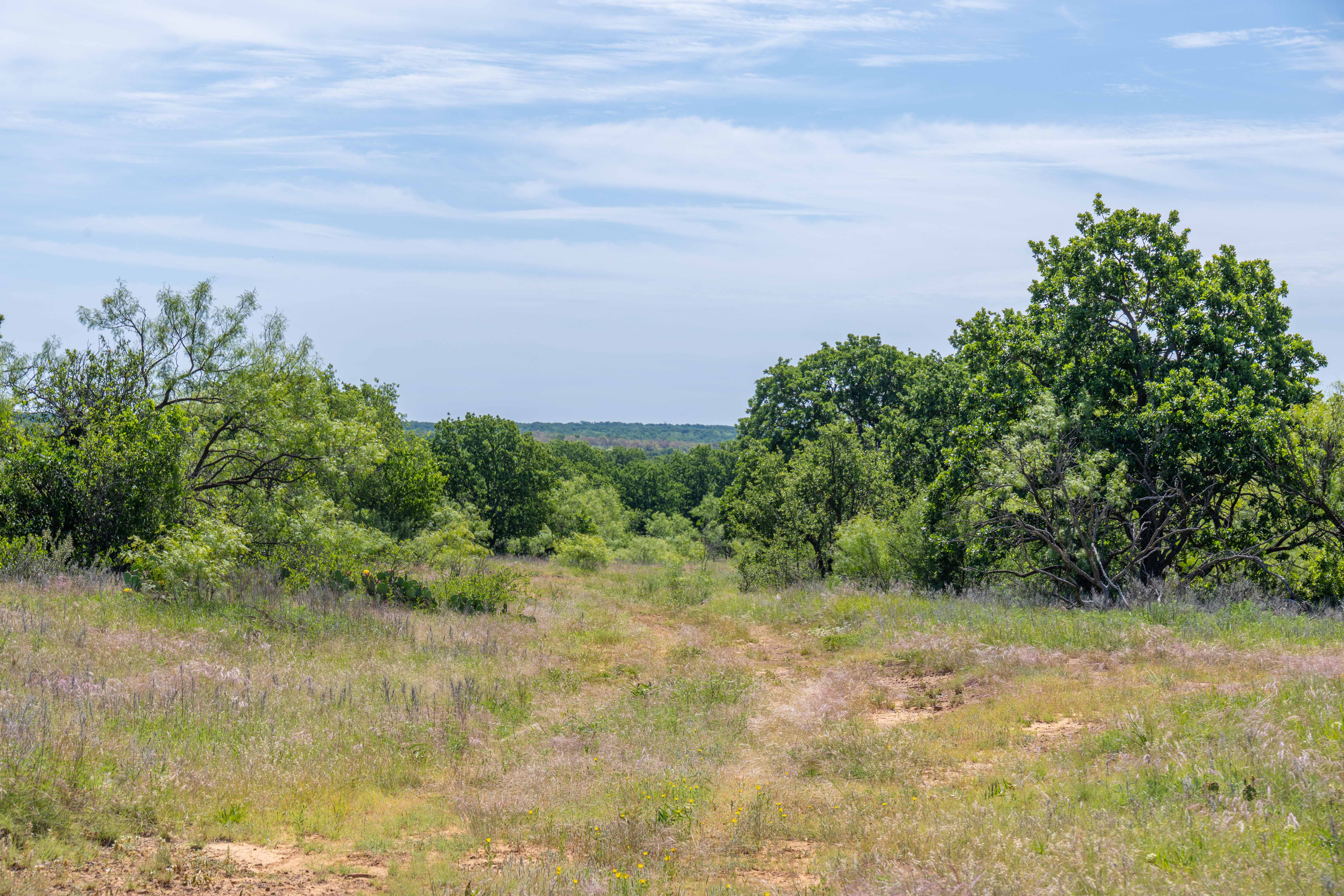 7582 Fm 2652 Loving TX 76460