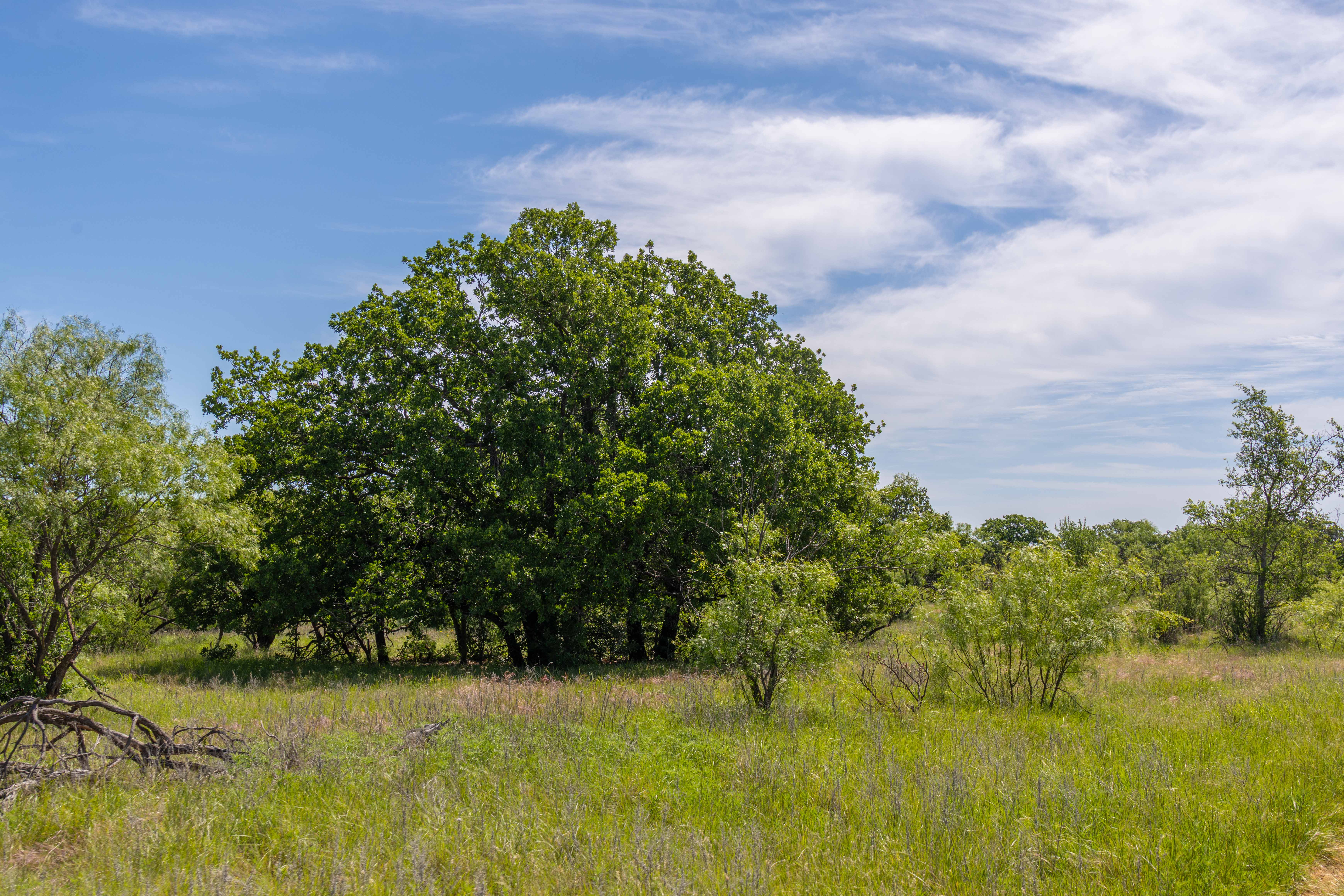 7582 Fm 2652 Loving TX 76460