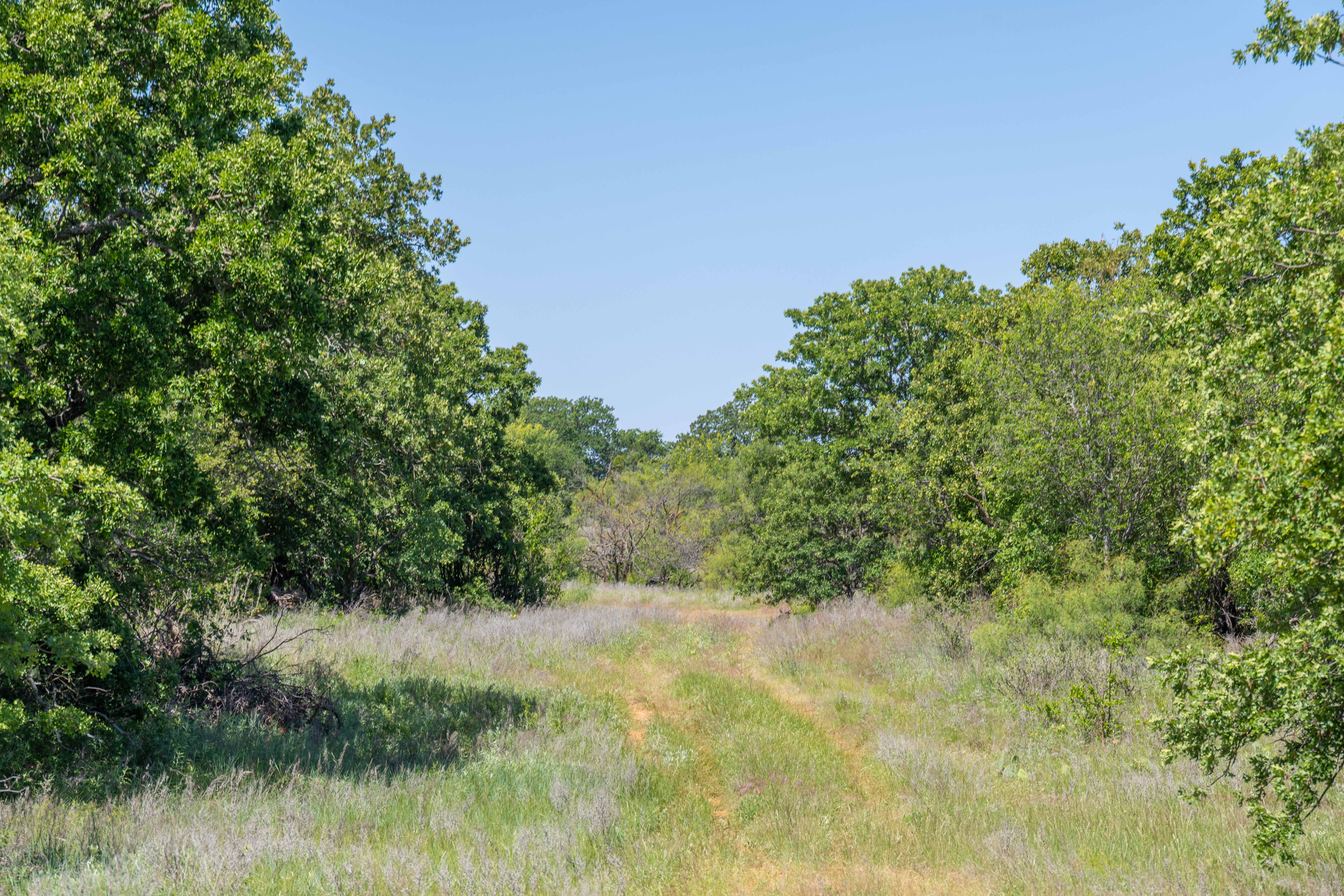 7582 Fm 2652 Loving TX 76460