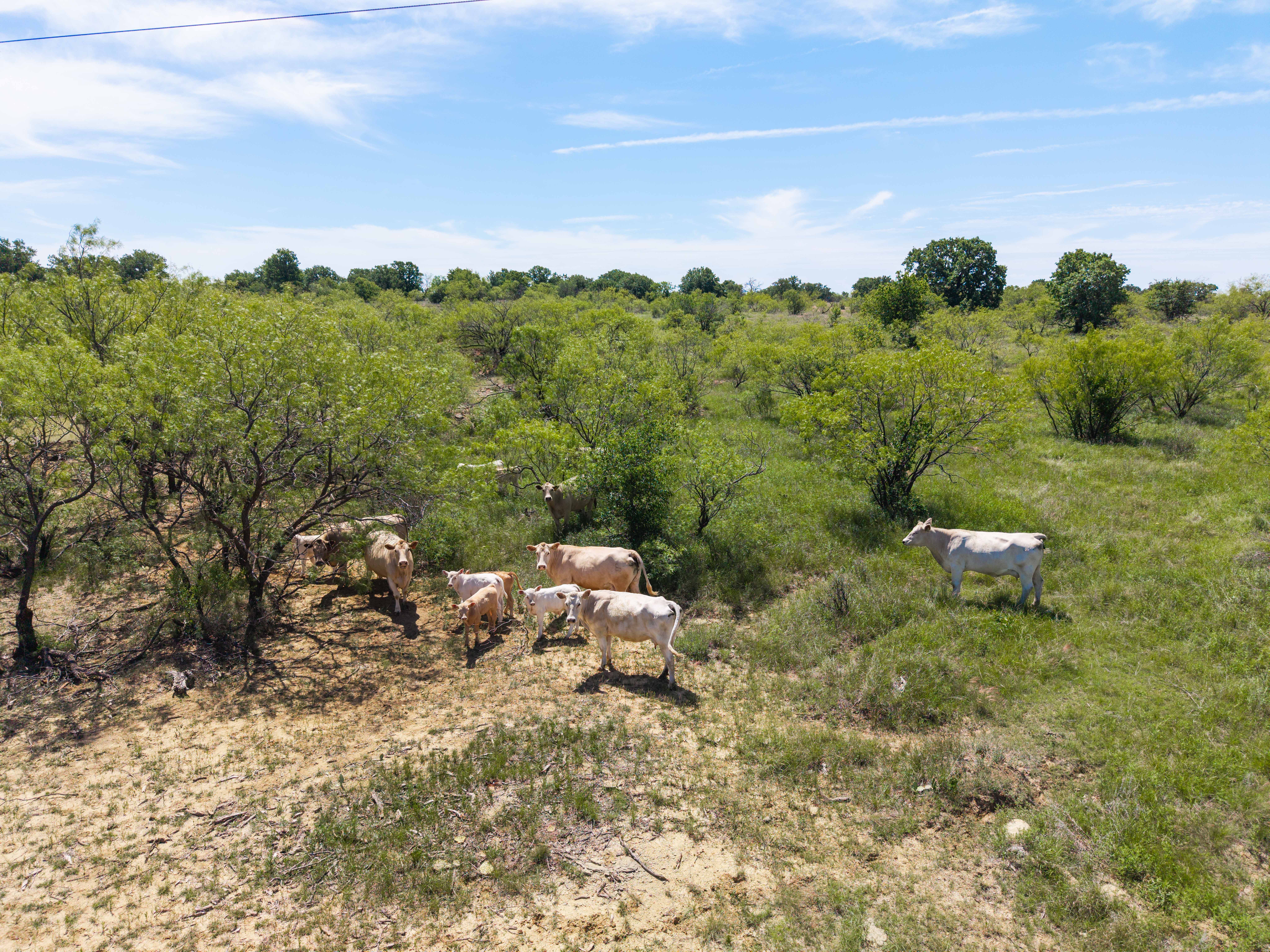 7582 Fm 2652 Loving TX 76460
