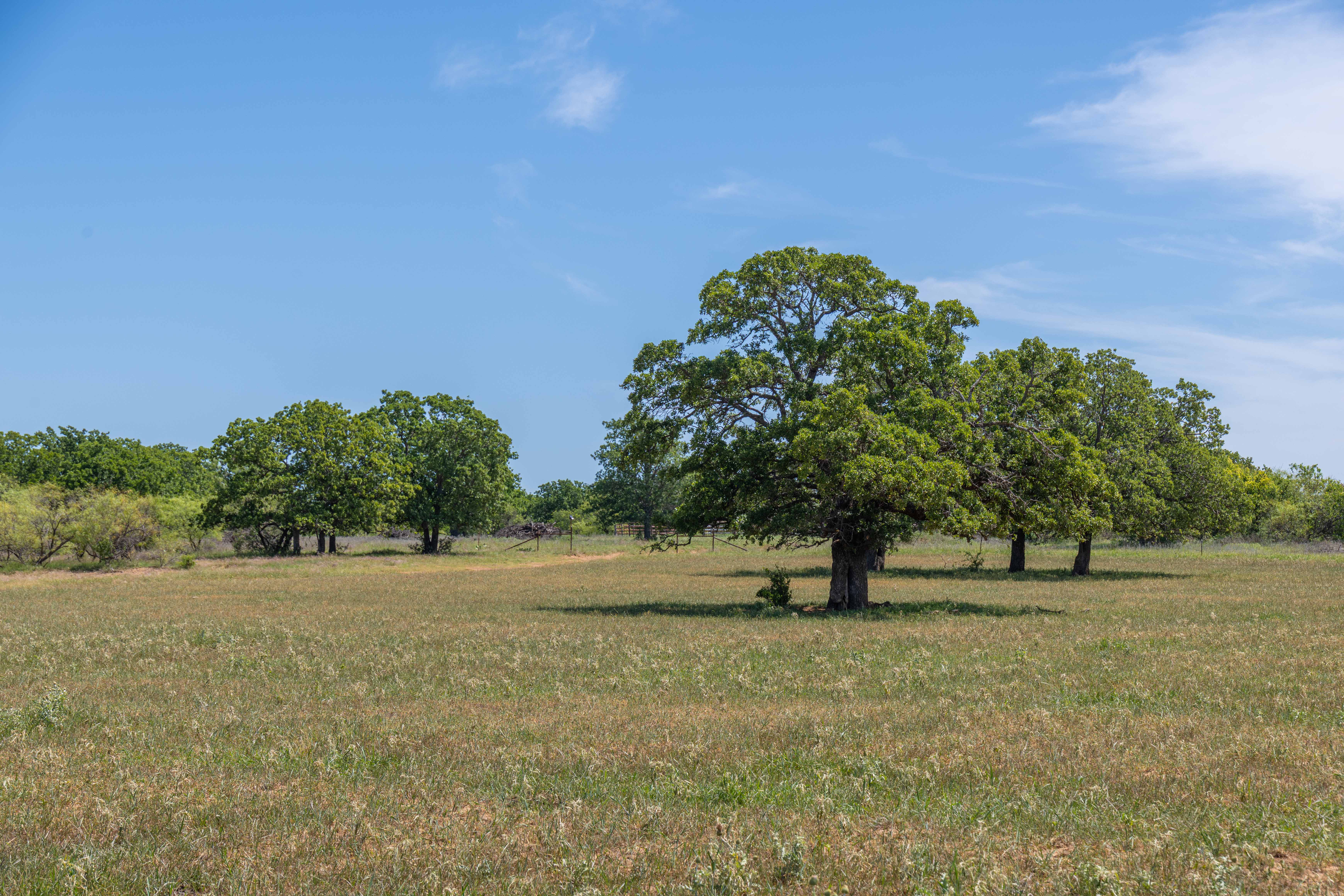 7582 Fm 2652 Loving TX 76460