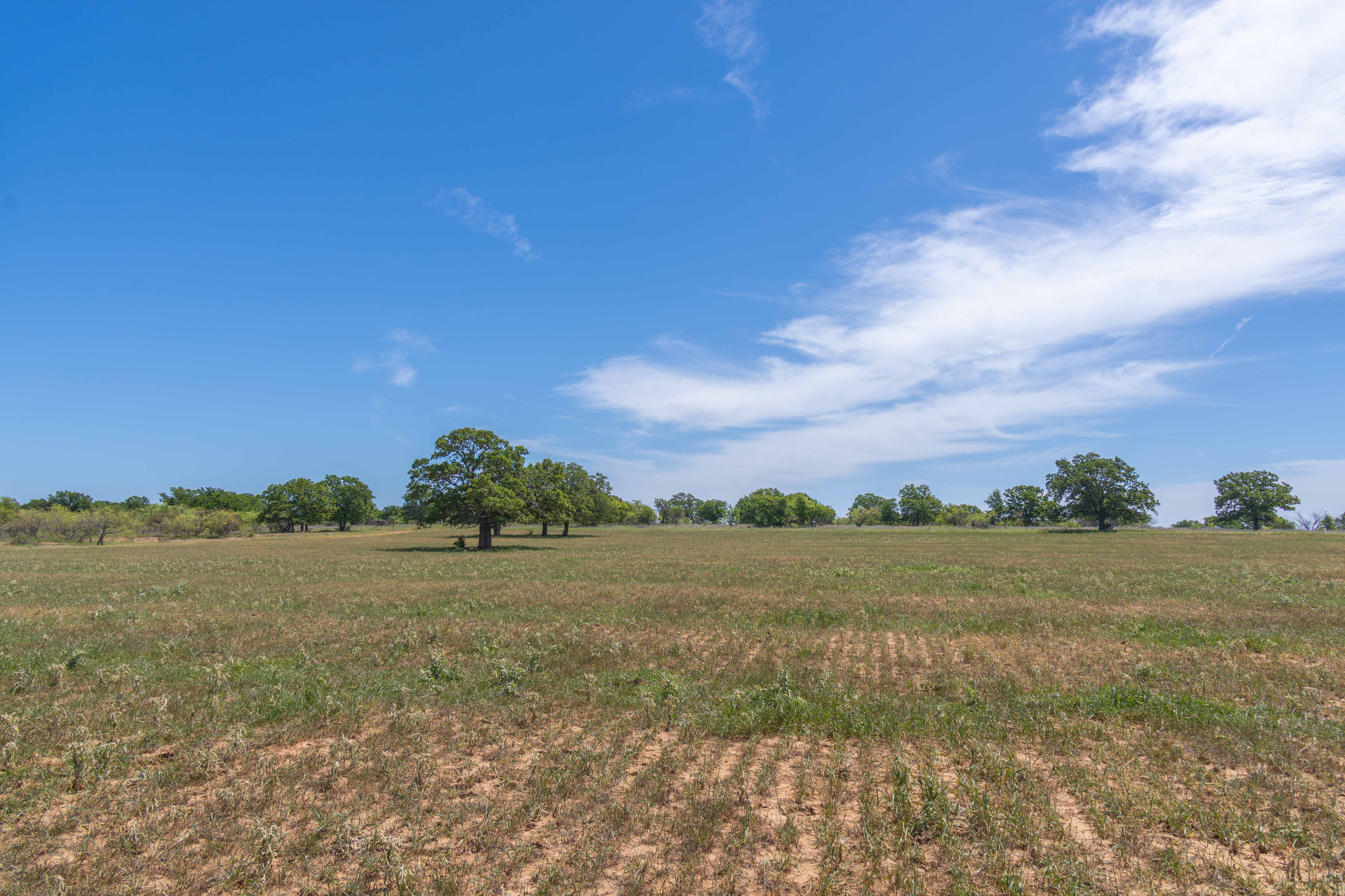 7582 Fm 2652 Loving TX 76460