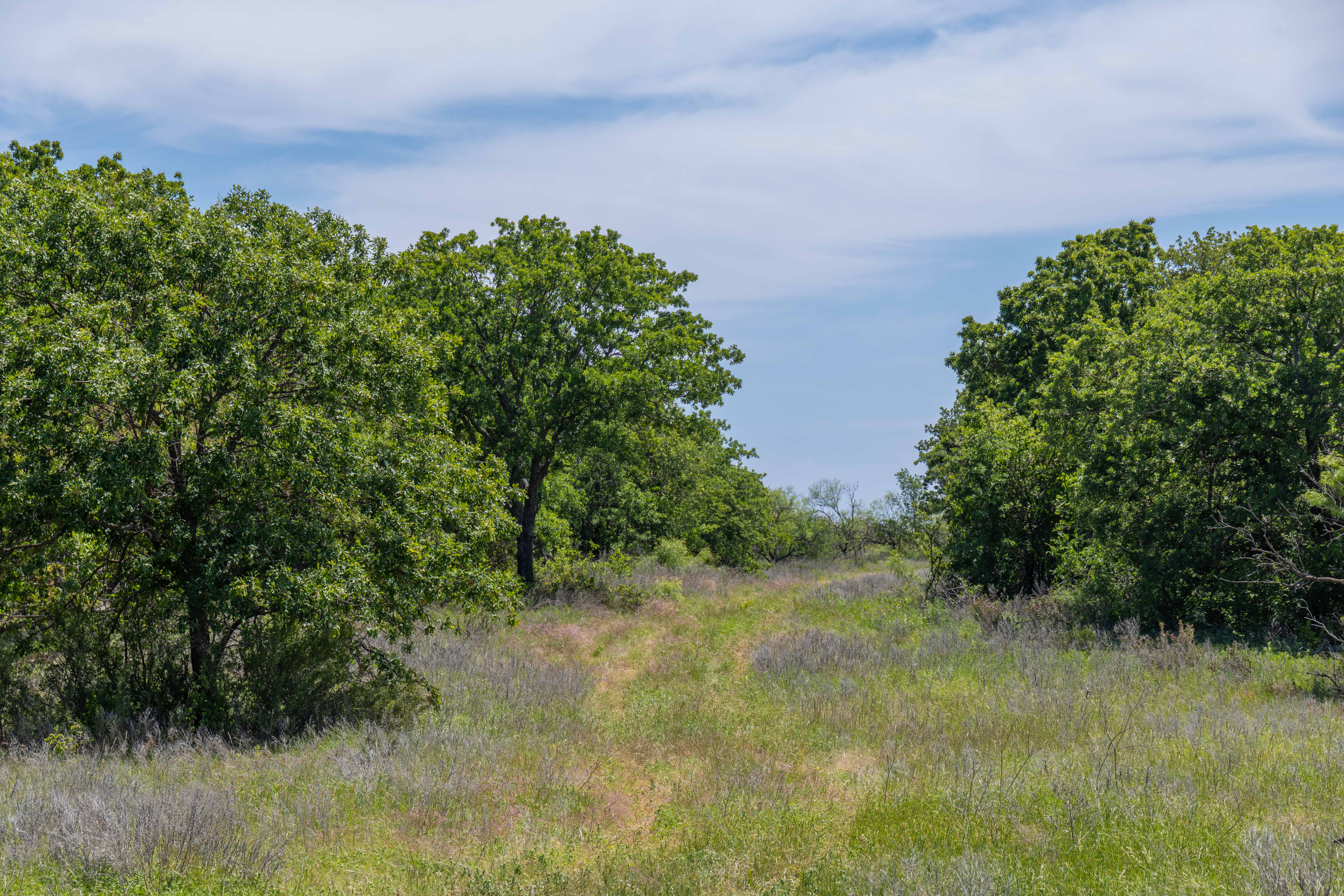7582 Fm 2652 Loving TX 76460